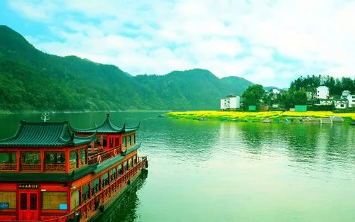 科技高性能独特